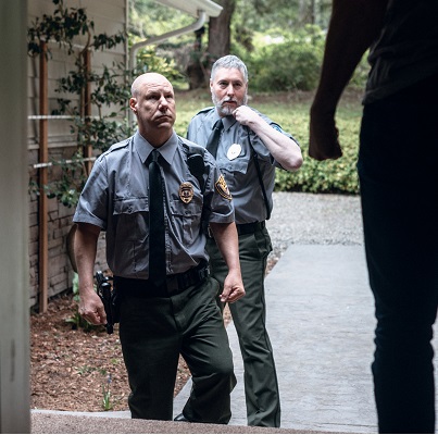 Domestic Violence and Assault